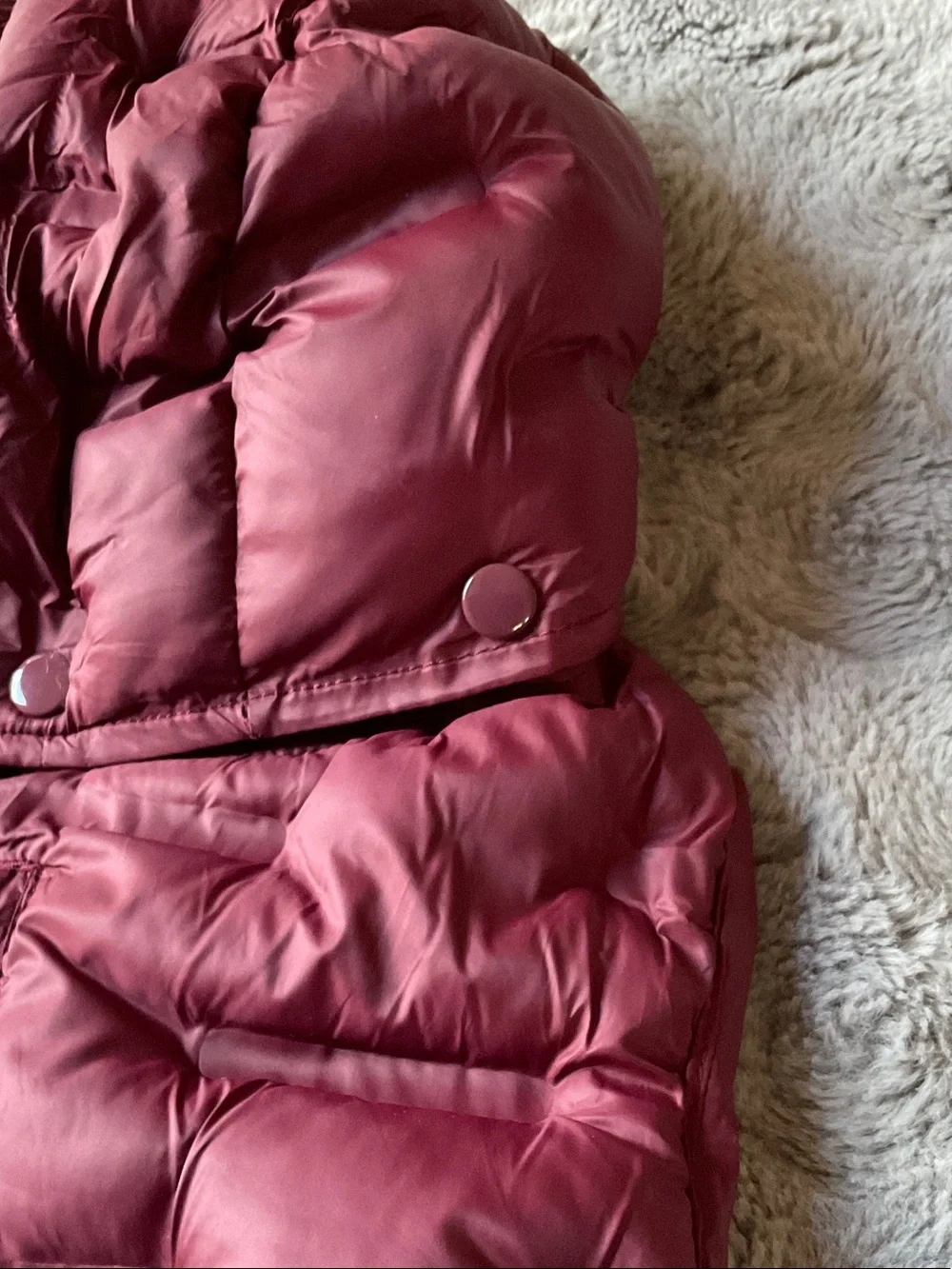 Quilted Dog Puffer Jacket with Hood NWOT